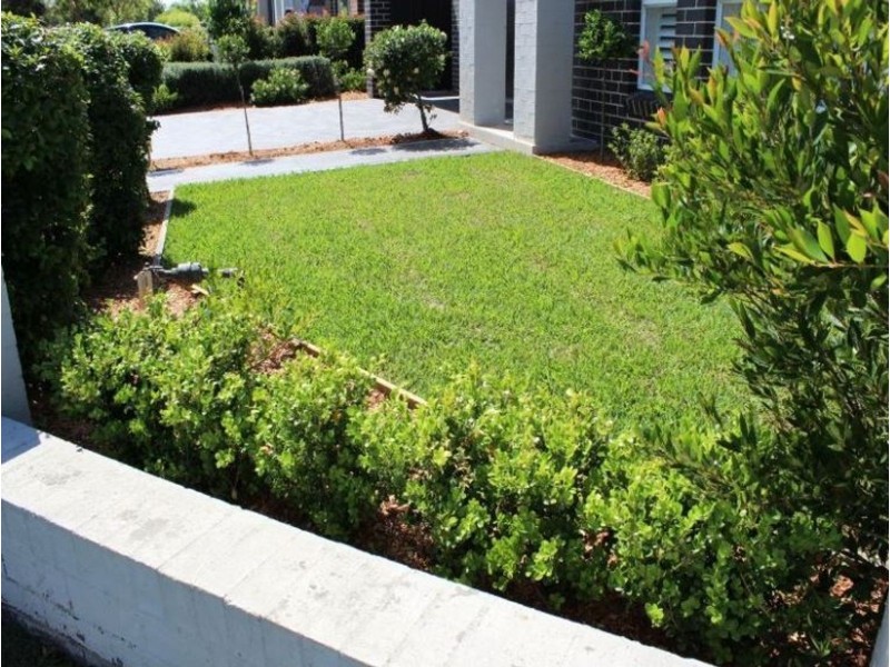 11 Wedgebill Place, Cranebrook NSW 2749