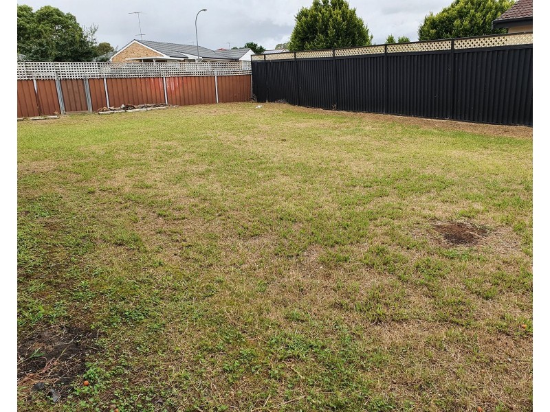 20 Solander Drive, St Clair NSW 2759