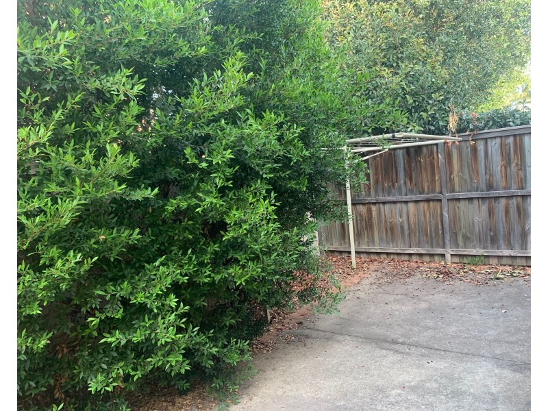 9/41 Jamison Road, Kingswood NSW 2340