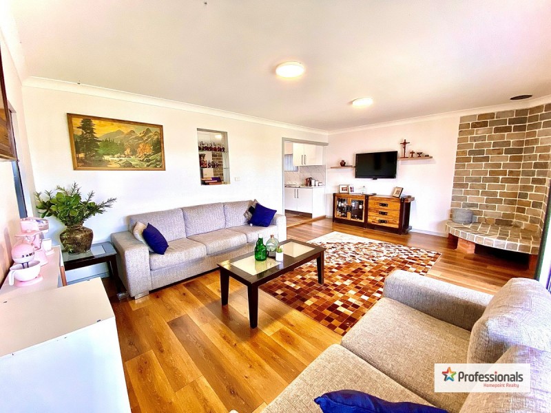 14 Freeman Street, Colyton NSW 2760