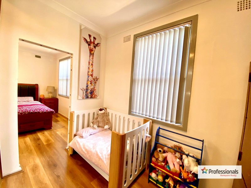 14 Freeman Street, Colyton NSW 2760