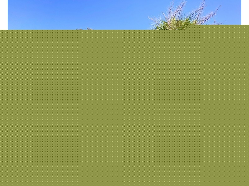 51 Helena Avenue, Emerton NSW 2770