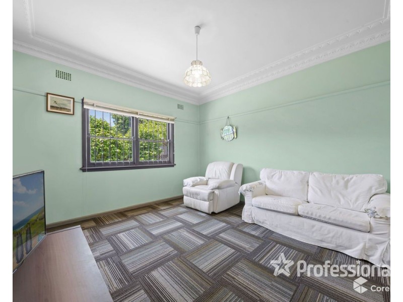 20 Cecilia Street, Toongabbie NSW 2146