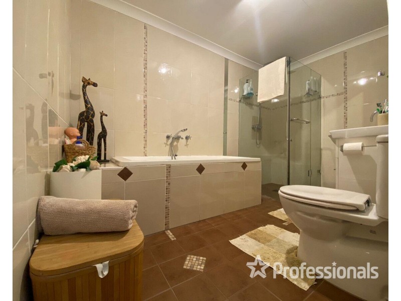 171 Victoria Street, Cambridge Park NSW 2747