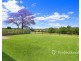 55 Harris Street, Windsor NSW 2756