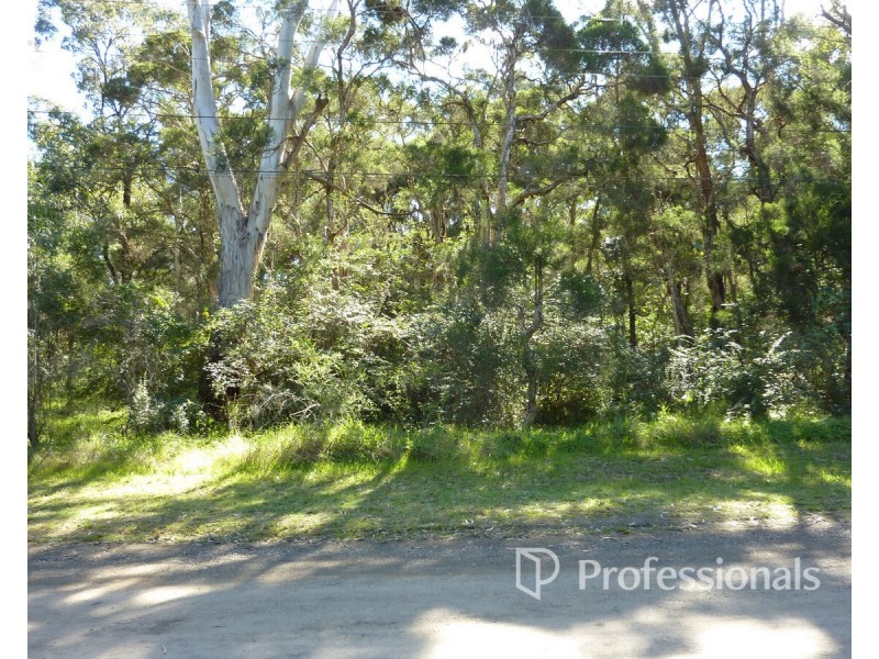 Lot 45 Ashford Road, Vineyard NSW 2765