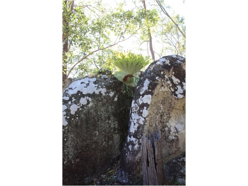 6 Lyell Court, Mount Samson QLD 4520