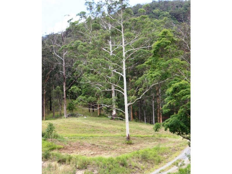 14 Krakatinni Close, Cedar Creek QLD 4520