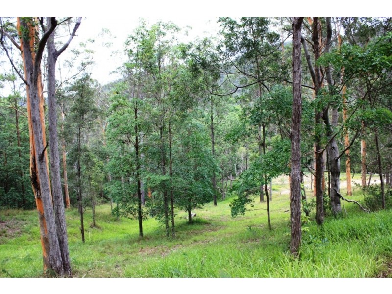 14 Krakatinni Close, Cedar Creek QLD 4520