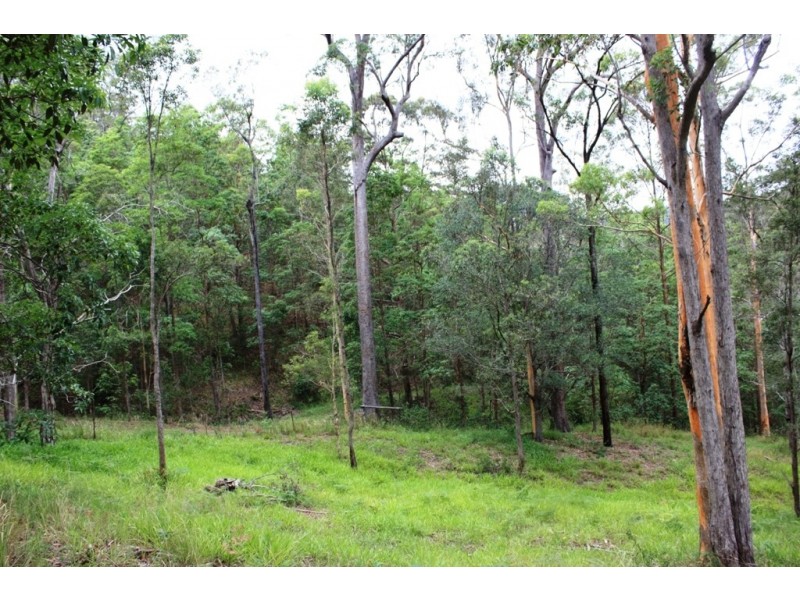 14 Krakatinni Close, Cedar Creek QLD 4520