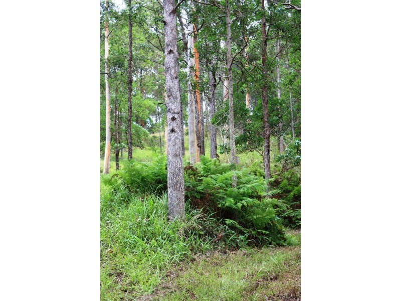 14 Krakatinni Close, Cedar Creek QLD 4520
