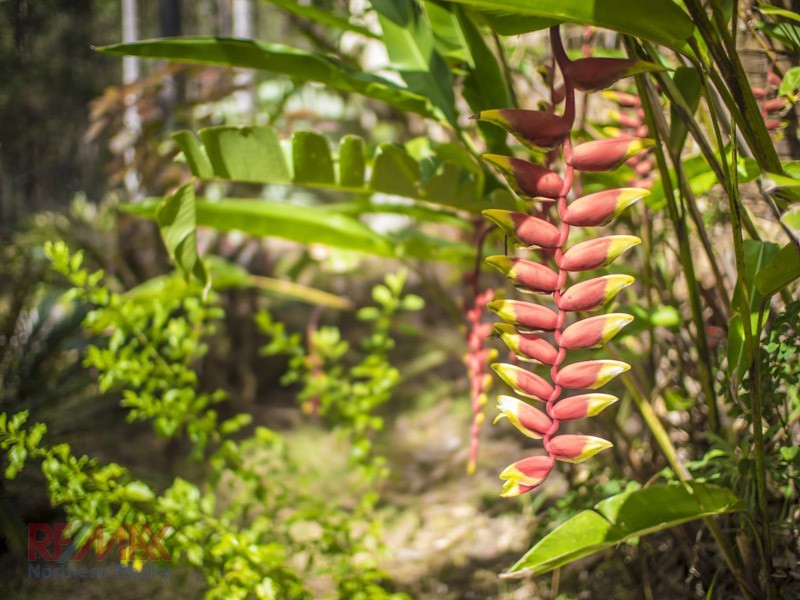 3 Hillgrove Cl, Eatons Hill QLD 4037