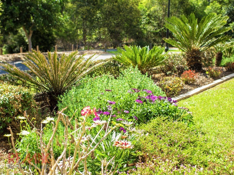 20 Castlewellan Circuit, Warner QLD 4500