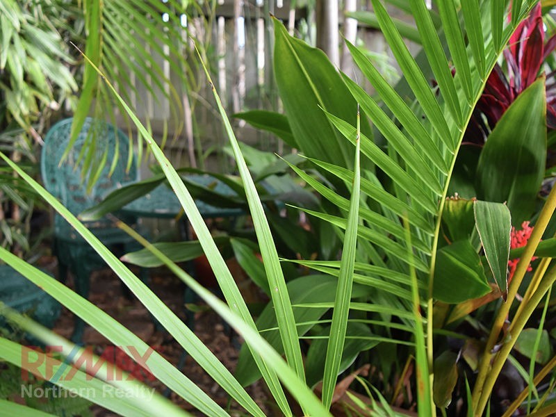 21 Atoll Crescent, Eatons Hill QLD 4037