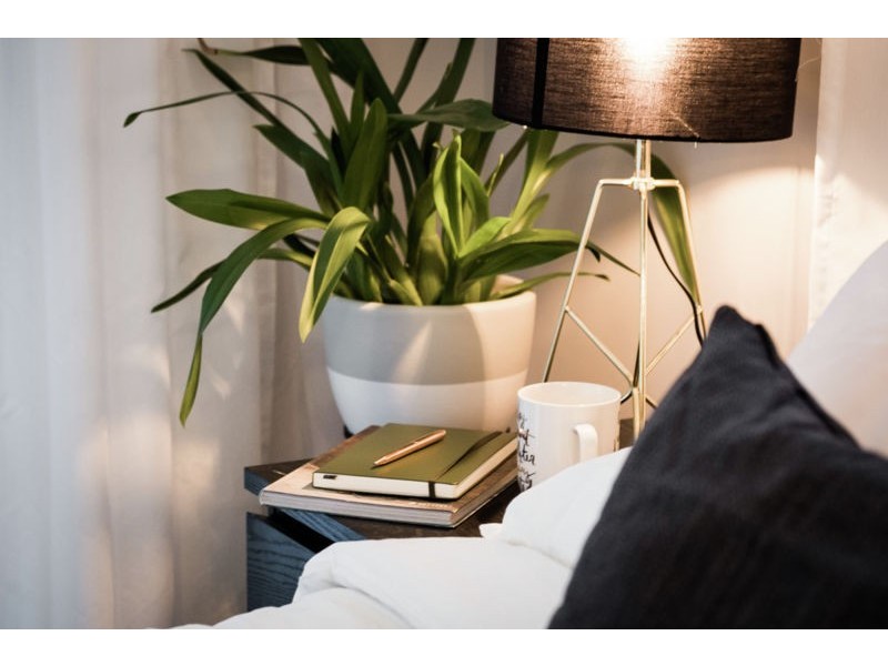 21 Aniseed Crescent, Griffin QLD 4503