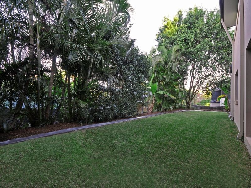 38 McCormack Avenue, Ashgrove QLD 4060