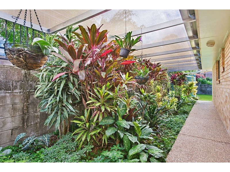 7 Grass Tree Close, Bridgeman Downs QLD 4035