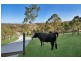 153 Dobson Road, Clear Mountain QLD 4500