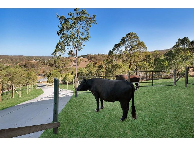 153 Dobson Road, Clear Mountain QLD 4500