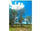 55-63 Flowers Road, Caboolture QLD 4510
