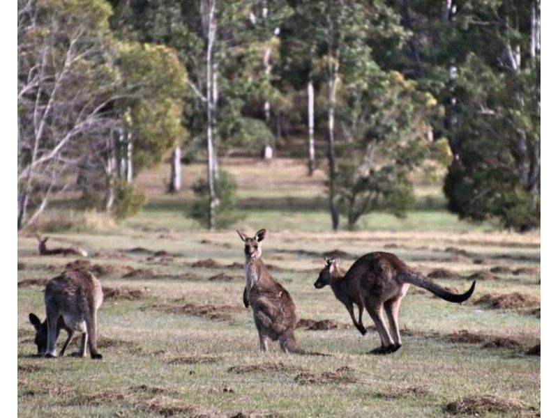 Lots 18 – 85 Park Avenue, North Isis QLD 4660