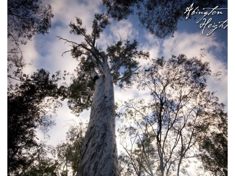 Lots 18 – 85 Park Avenue, North Isis QLD 4660