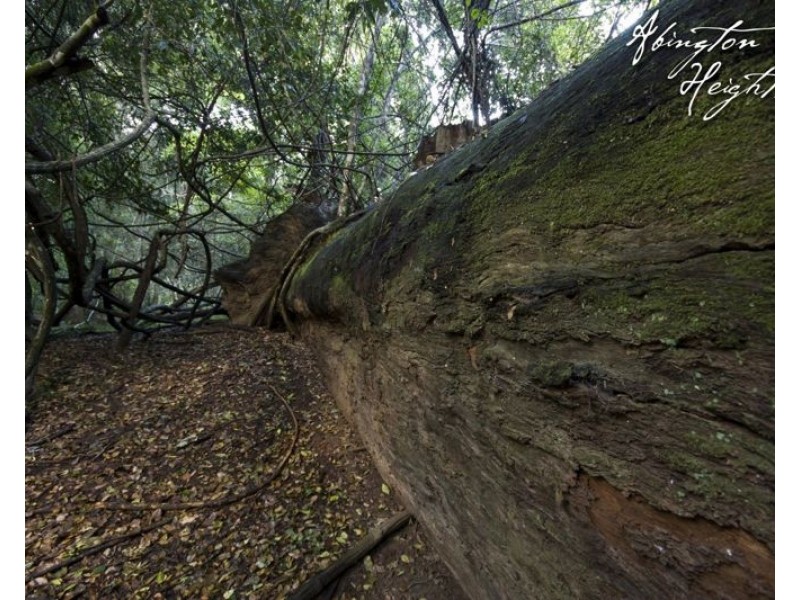 Lots 18 – 85 Park Avenue, North Isis QLD 4660