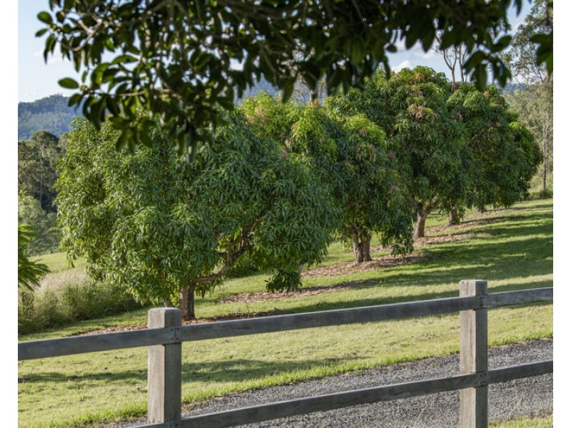 Wights Mountain QLD 4520