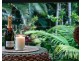 50 Blackbutt Ct, Burpengary QLD 4505