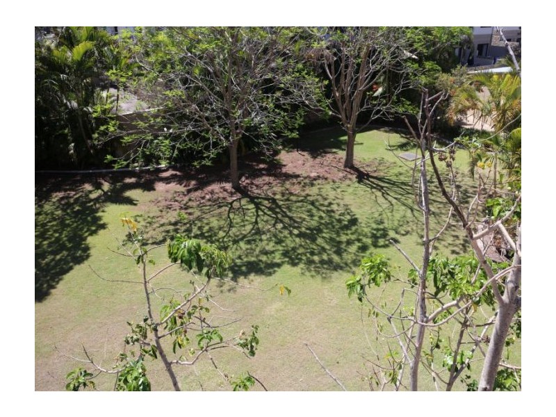 01/45 Harries Road, Coorparoo QLD 4151