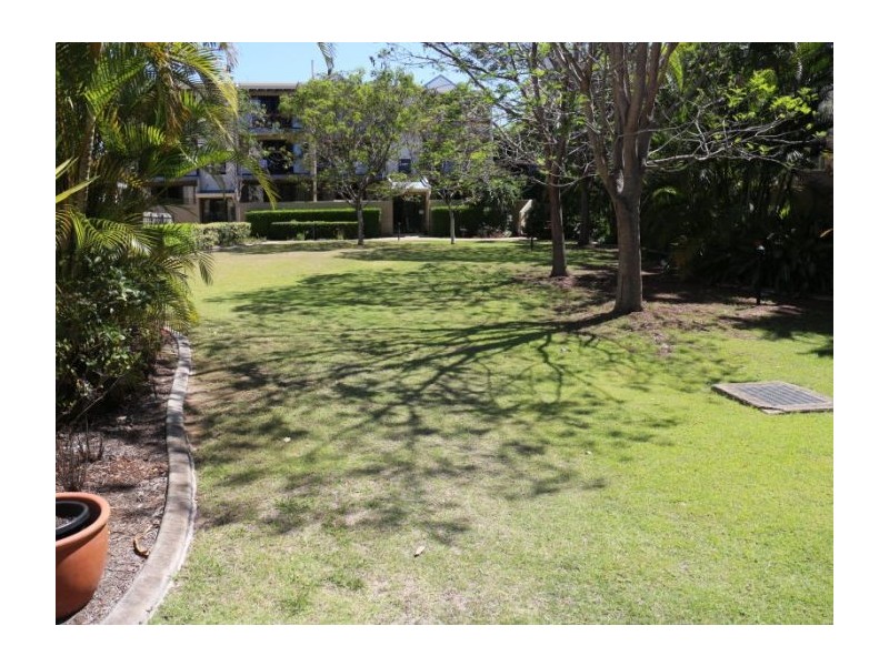 01/45 Harries Road, Coorparoo QLD 4151