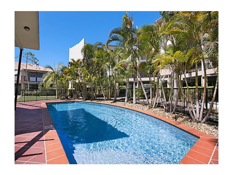 55 Harries Road, Coorparoo QLD 4151