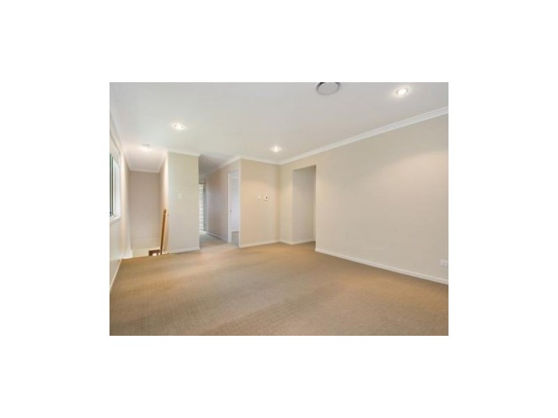 981 Wynnum  Road, Cannon Hill QLD 4170