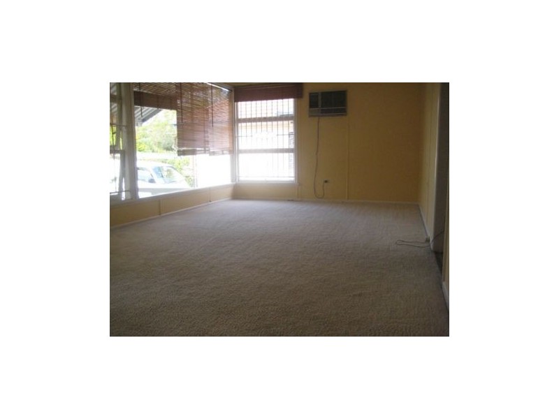 41 Oriel Rd, Yeronga QLD 4104