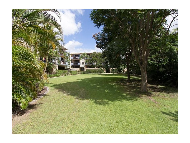 59/55 Harries Road, Coorparoo QLD 4151