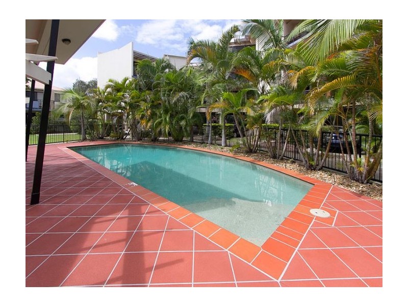 59/55 Harries Road, Coorparoo QLD 4151