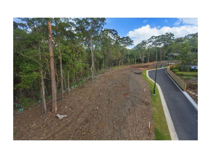 43 Pallaranda Street, Tarragindi QLD 4121