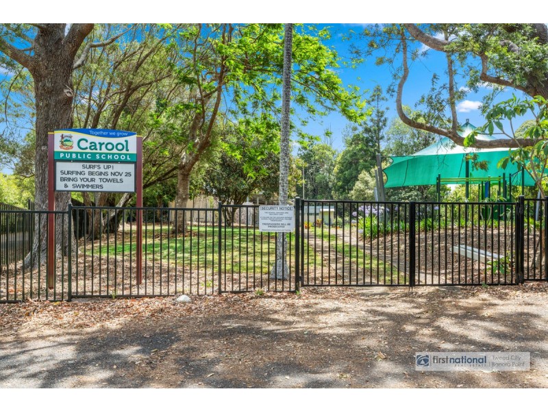 519 Carool Road, Carool NSW 2486