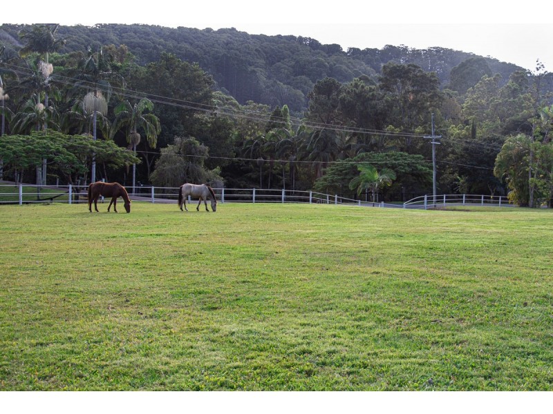 87 Greenvalley Way, Piggabeen NSW 2486