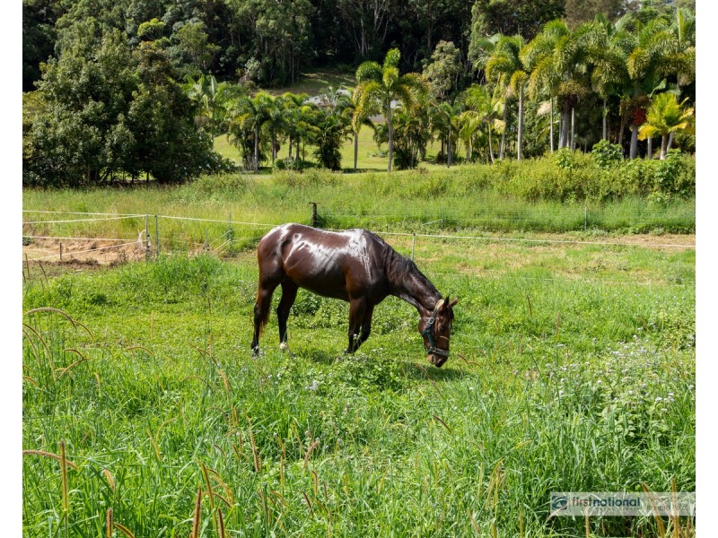 18 Bopplenut Court, Cobaki NSW 2486