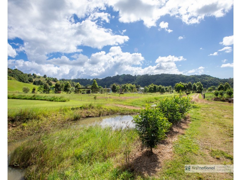 18 Bopplenut Court, Cobaki NSW 2486