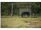 Ormiston QLD 4160