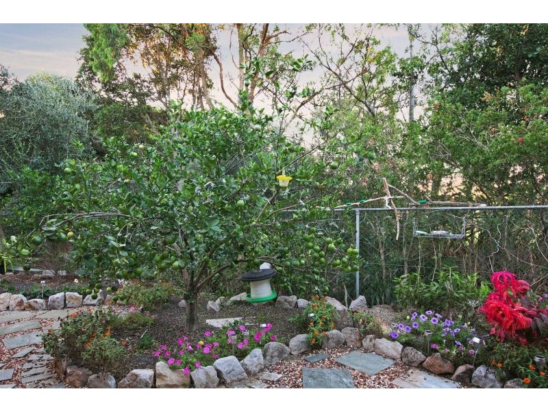 11 Marc Place, Cleveland QLD 4163