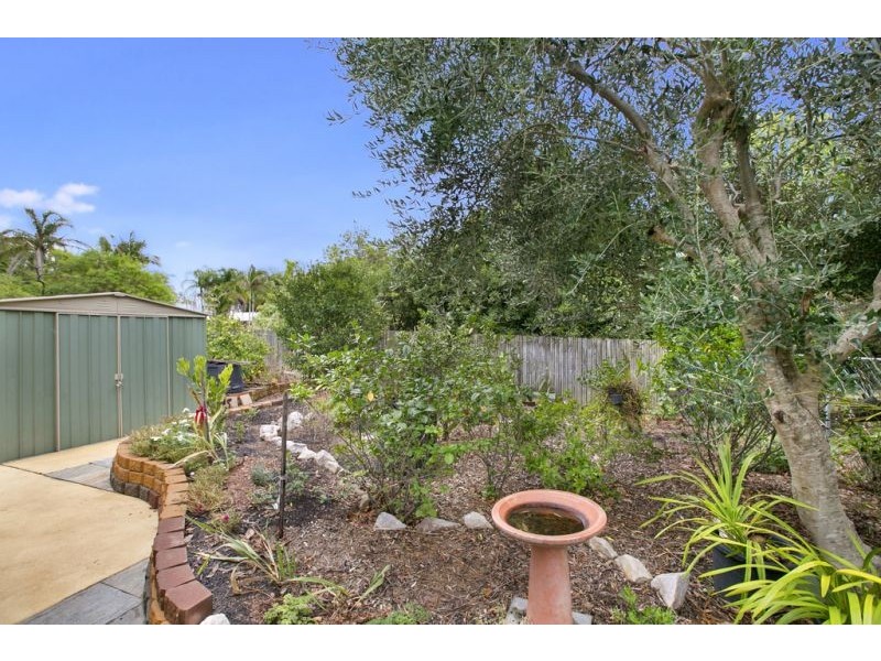 11 Marc Place, Cleveland QLD 4163