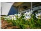 6 Marianne Street, Victoria Point QLD 4165
