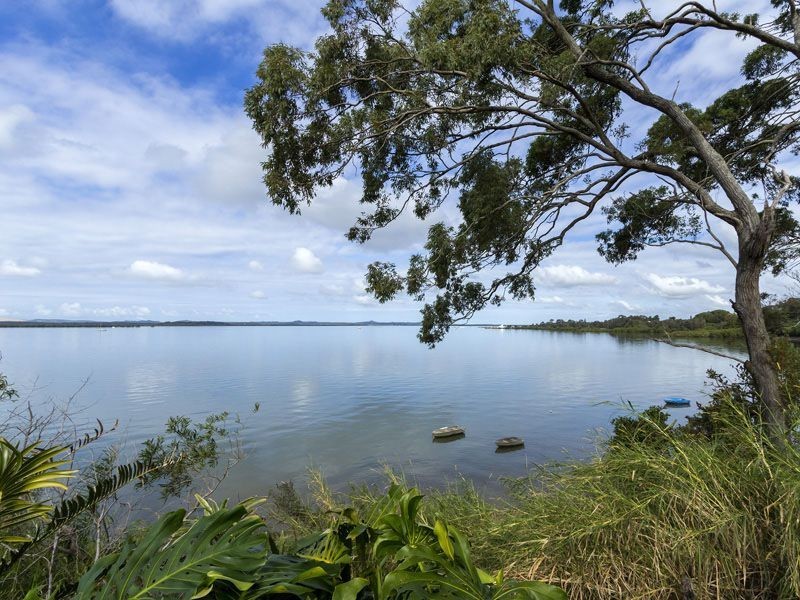 87 CAVELL STREET, Birkdale QLD 4159