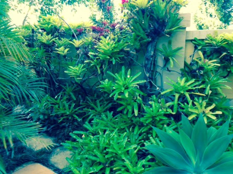 Villa Edgewater, Harbour View Crt, Cleveland QLD 4163