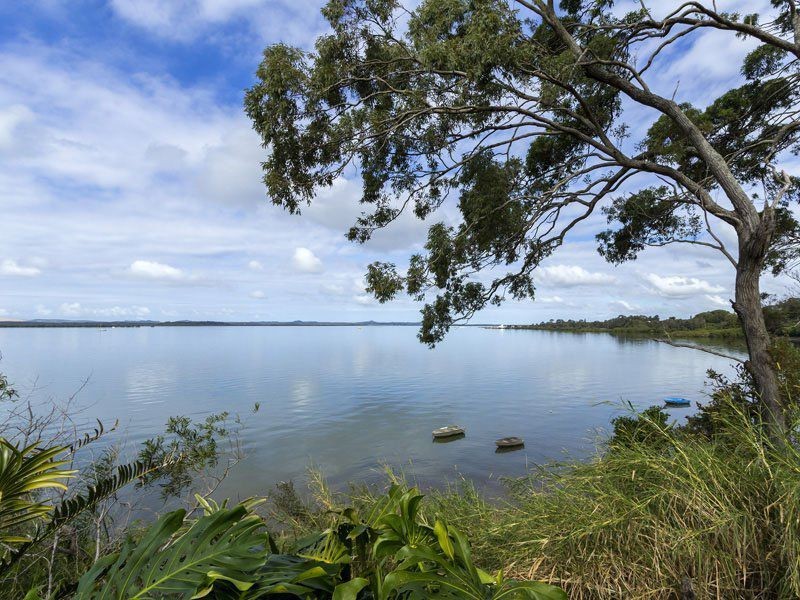 87 Cavell Street, Birkdale QLD 4159