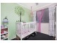 10 Shepherdson Street, Capalaba QLD 4157