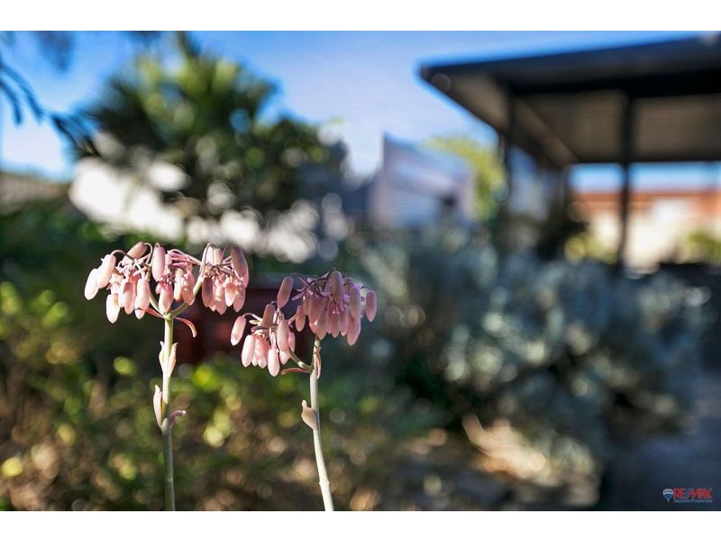 137 Ziegenfusz Road, Thornlands QLD 4164